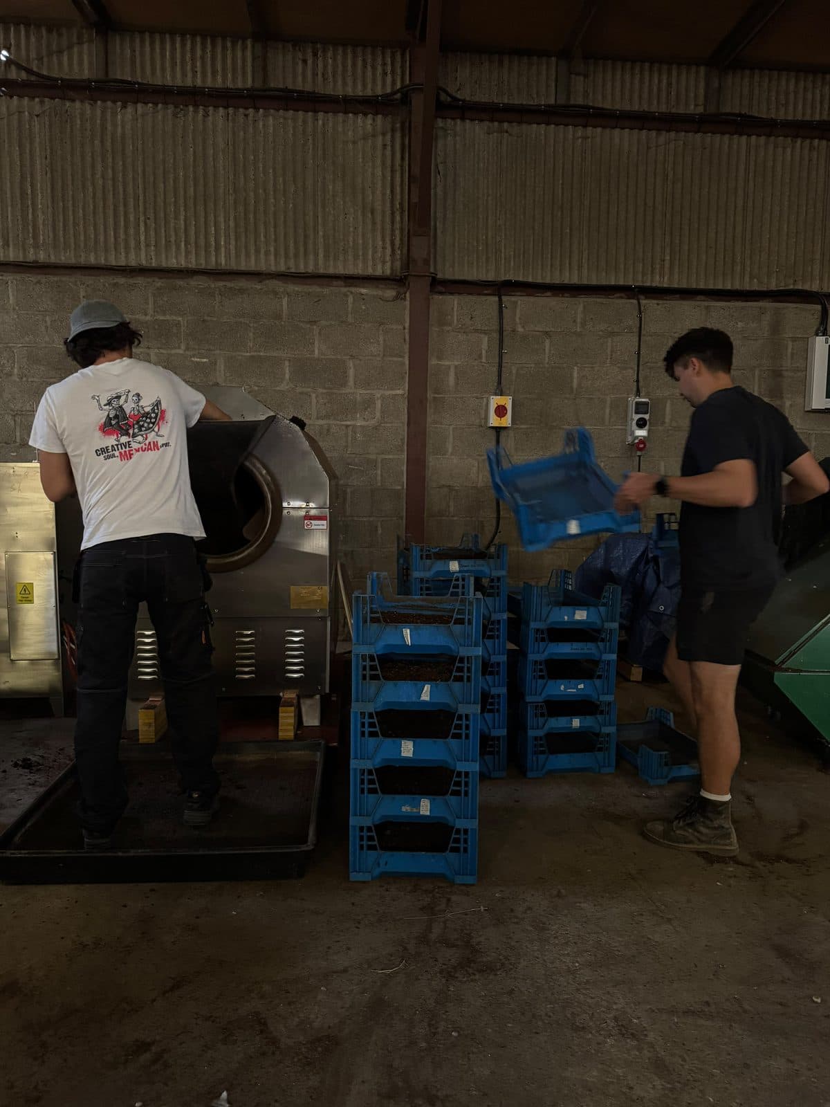 The NextSource team harvesting Black Soldier Fly Larvae